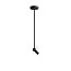 Bird Ceiling Lamp - Tige 50.5cm