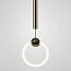 Ring Suspension Lamp